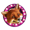 Foxy Bingo
